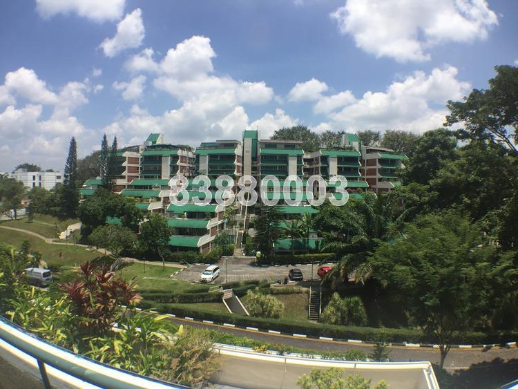 Pandan Valley (D21), Condominium #169148912